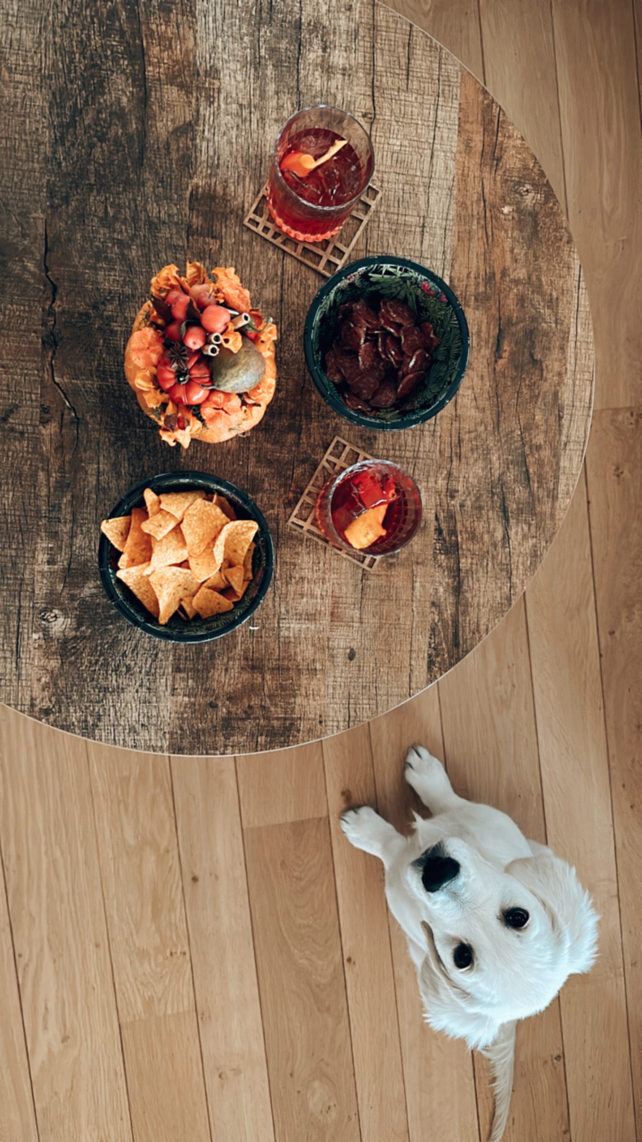 Puppy near fall decorated apero table | Ode2style.com